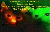 Chapter 15 – Genetic Engineering HOW AND WHY DO SCIENTISTS MANIPULATE DNA IN LIVING CELLS?