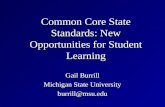 Common Core State Standards: New Opportunities for Student Learning Gail Burrill Michigan State University burrill@msu.edu.