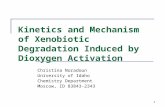 1 Kinetics and Mechanism of Xenobiotic Degradation Induced by Dioxygen Activation Christina Noradoun University of Idaho Chemistry Department Moscow, ID.