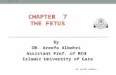 CHAPTER 7 THE FETUS By DR. Areefa Albahri Assistant Prof. of MCH Islamic University of Gaza 16/11/1436 DR. Areefa Albahri.
