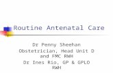 Routine Antenatal Care Dr Penny Sheehan Obstetrician, Head Unit D and FMC RWH Dr Ines Rio, GP & GPLO RWH.