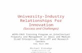 University-Industry Relationships For Innovation (Success and Challenges) WIPO-CRUI Training Program on Intellectual Property and Management in Small and.
