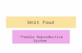 Unit Four “Female Reproductive System”. Female Reproductive System Primary Sex Organs – Paired Ovaries Secondary Sex/Accessory Organs – include the Uterus,