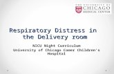 Respiratory Distress in the Delivery room NICU Night Curriculum University of Chicago Comer Children’s Hospital.
