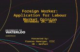Presented by: Frances Hannigan, CCIC HR - WatPort Foreign Worker: Application for Labour Market Opinion November 24, 2011.
