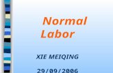 Normal Labor XIE MEIQING 29/09/2006. Labor means the process of the birth,which is finished by the effective coordination of uterine contractions and.