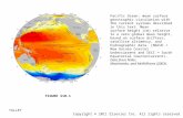 FIGURE S10.1 Pacific Ocean: mean surface geostrophic circulation with the current systems described in this text. Mean surface height (cm) relative to.
