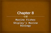 Marine Fishes Shipley’s Marine Biology.  Classification of Fishes.