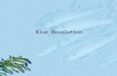 Blue Revolution. Introduction since 1950, there has been a 100 percent increase in demand of fish world consumption of aquatic proteins is predicted to.