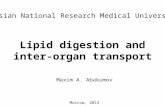 Lipid digestion and inter-organ transport Russian National Research Medical University Maxim A. Abakumov Moscow, 2014.