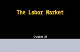 The Labor Market Chapter 29. The Labor Market  Supply of labor – number of people willing to work at different wage-levels  Demand for labor – number.