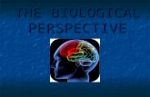 THE BIOLOGICAL PERSPECTIVE. Biological Perspective Linking the introspective study of consciousness (what you are thinking and feeling based on mental.