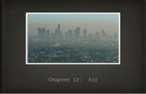 Chapter 12: Air. Section 1: What Causes Air Pollution Clean air consists mostly of nitrogen and oxygen gas as well as very small amounts of argon, carbon.