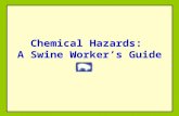Chemical Hazards: A Swine Worker’s Guide. Outline Precautionary & Hazard Symbols Point of Entry Protective Gear Solvents Veterinary Drugs Cleaners & Sanitizers.