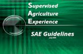 S upervised A griculture E xperience SAE Guidelines July 2009.