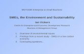 MGT3180 Enterprise & Small Business SMEs, the Environment and Sustainability Ian Vickers Centre for Enterprise and Economic Development Research Business.