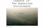 Chapter 13: The Humanized Environment. Humans have always altered their environment. In modern times, the impact of humanity’s destructive and exploitative.