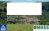 Using the Ecosystem Goods & Services Concept in Durban Biodiversity planning Advocacy Examples of specific interventions.