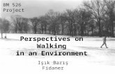 Perspectives on Walking in an Environment Işık Barış Fidaner BM 526 Project.
