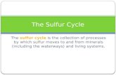 The Sulfur Cycle The sulfur cycle is the collection of processes by which sulfur moves to and from minerals (including the waterways) and living systems.
