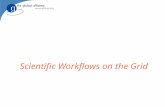 Scientific Workflows on the Grid. Goals Enhance scientific productivity through: Discovery and application of datasets and programs at petabyte scale.