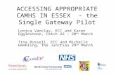 ACCESSING APPROPRIATE CAMHS IN ESSEX - the Single Gateway Pilot Lonica Vanclay, ECC and Karen Egglestone, Catch 22 – 20 th March Tina Russell, ECC and.