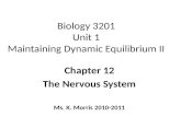 Biology 3201 Unit 1 Maintaining Dynamic Equilibrium II Chapter 12 The Nervous System Ms. K. Morris 2010-2011.