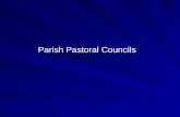 Parish Pastoral Councils. The Calling The call of the first disciples: Matthew 4:18-19 Mark 1:16-20 Luke 5:9-11 John 1:35-43.