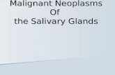 Malignant Neoplasms Of the Salivary Glands. EPIDEMIOLOGY 1.Malignant Salivary Neoplasms accounting for approximatelty 6% of all head & neck malignancies.