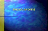 ENDOCARDITIS. CLASSIFICATION OF ENDOCARDITIS CATEGORIES OF ENDOCARDITIS n Native valve n Prosthetic valve n IVDA.