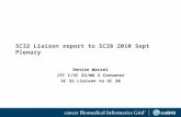 SC32 Liaison report to SC38 2010 Sept Plenary Denise Warzel JTC 1/SC 32/WG 2 Convenor SC 32 Liaison to SC 38.