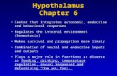 Hypothalamus Chapter 6 Center that integrates autonomic, endocrine and behavioral responses Regulates the internal environment (homeotasis) Makes survival.