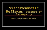 Viscerosomatic Reflexes Science of Osteopathy John M. Lavelle, OMSIV, OMM Fellow.
