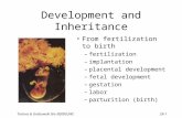 Tortora & Grabowski 9/e  2000 JWS 29-1 Development and Inheritance From fertilization to birth –fertilization –implantation –placental development –fetal.