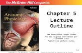 5-1 Chapter 5 Lecture Outline See PowerPoint Image Slides for all figures and tables pre-inserted into PowerPoint without notes. Copyright (c) The McGraw-Hill.