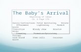 The Baby’s Arrival Beginning of labor Ch. 6 Page 179 CervixContractionsFetal monitoringDilate EffacementLighteningBreech birth TransitionBloody showBraxton.