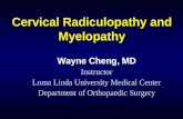 Cervical Radiculopathy and Myelopathy Wayne Cheng, MD Instructor Loma Linda University Medical Center Department of Orthopaedic Surgery.