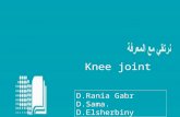 Knee joint D.Rania Gabr D.Sama. D.Elsherbiny. Objectives  Name and identify the bony features of the tibia and fibula.  Know the type and formation.