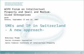 September 13, 2007SMEs and IP in Switzerland - Nikolaus Thumm1 Nikolaus Thumm Senior Economic Counsellor Swiss Federal Institute of Intellectual Property.