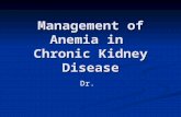 Management of Anemia in Chronic Kidney Disease Dr.