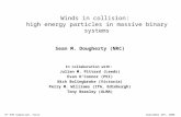 September 28 th, 20068 th EVN Symposium, Torun Winds in collision: high energy particles in massive binary systems Sean M. Dougherty (NRC) In collaboration.