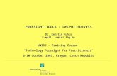 FORESIGHT TOOLS – DELPHI SURVEYS Dr. Kerstin Cuhis E-mail: cu@isi.fhg.de UNIDO - Training Course “Technology Foresight for Practitioners“ 6-10 October.