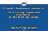 Development and Cooperation Financial Instruments supporting civil society cooperation initiatives in the Black Sea region Black Sea NGO Forum, 6th Edition.