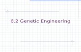 6.2 Genetic Engineering. Genetic Engineering Altering the sequence of DNA molecules Important in developing drugs Insulin  Human insulin produced by.