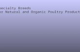 Specialty Breeds for Natural and Organic Poultry Production.