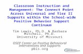 Classroom Instruction and Management: The Connect Point Across Universal and Tier II Supports within the School-wide Positive Behavior Support Continuum.
