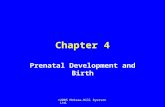 ©2005 McGraw-Hill Ryerson Ltd. Chapter 4 Prenatal Development and Birth.
