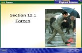 12.1 Forces Section 12.1 Forces. 12.1 Forces A force is a push or a pull that acts on an object. A force can cause a resting object to move, or it can.