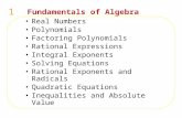 1 Real Numbers Polynomials Factoring Polynomials Rational Expressions Integral Exponents Solving Equations Rational Exponents and Radicals Quadratic Equations.