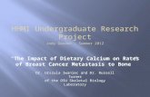 HHMI Undergraduate Research Project Jody Gordon - Summer 2012 “ The Impact of Dietary Calcium on Rates of Breast Cancer Metastasis to Bone” Dr. Urszula.